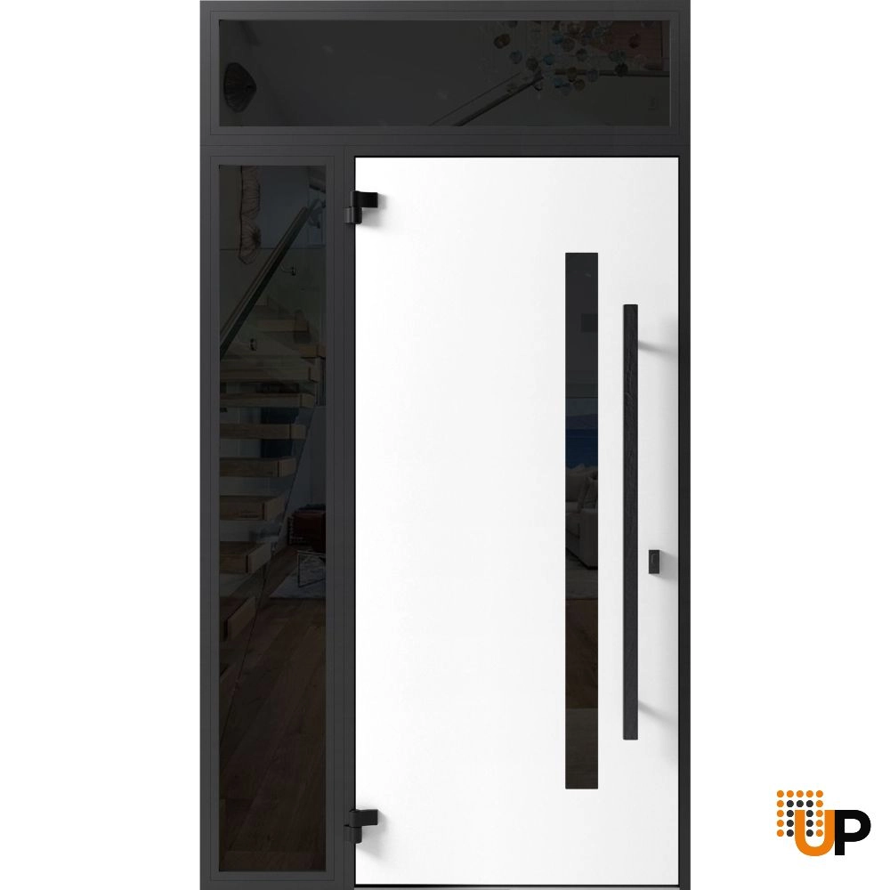 Single swing metal-aluminum modern exterior door with tinted clear-mirrored glass | Dekton 0163 Ardesia Nero | 48 x 96 photo#2