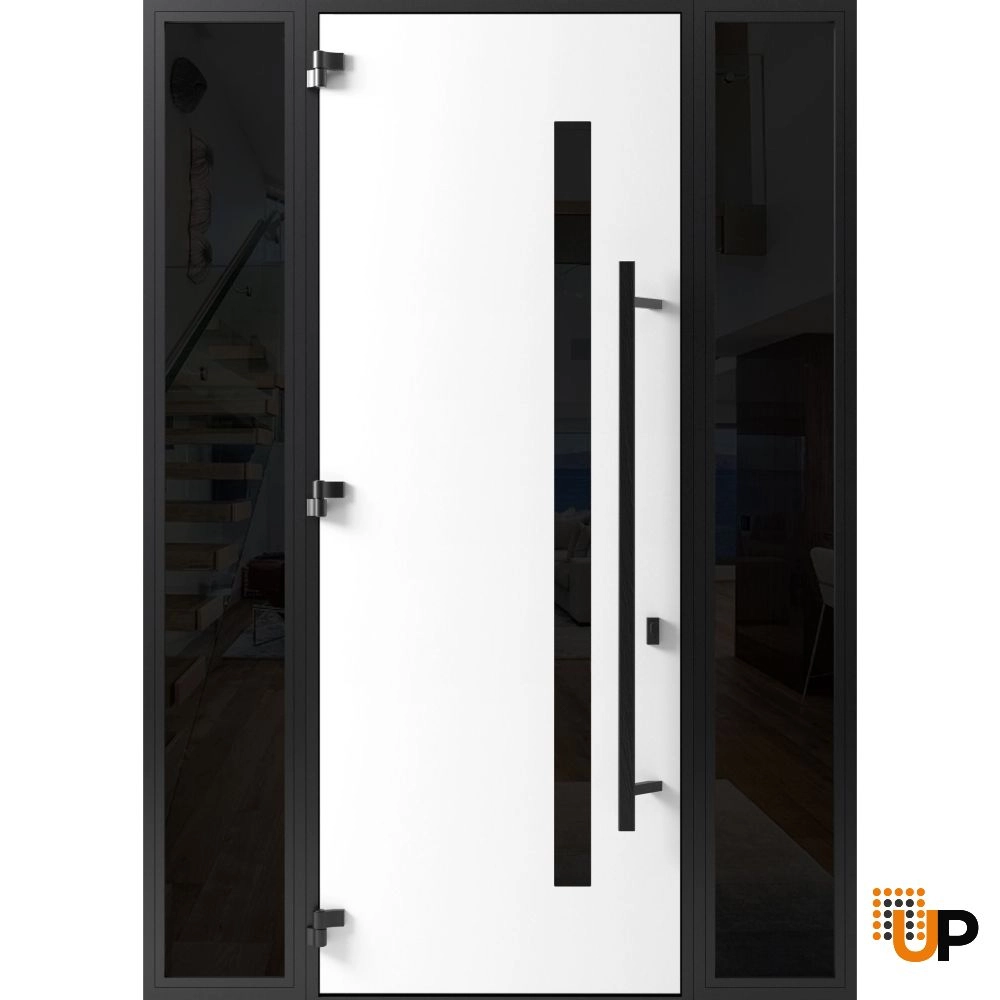 Single swing metal-aluminum modern exterior door with tinted clear-mirrored glass | Dekton 0163 Ardesia Nero | 64 x 96 photo#2