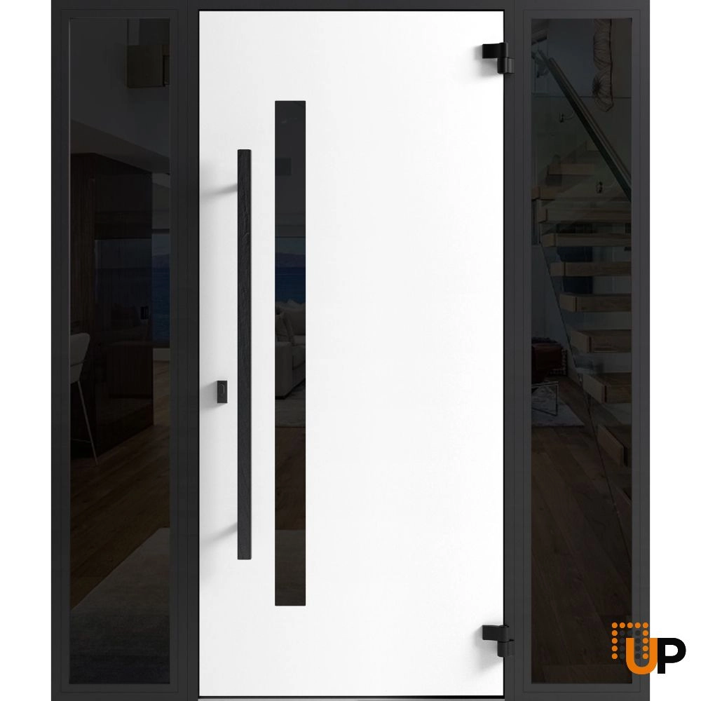 Single swing metal-aluminum modern exterior door with tinted clear-mirrored glass | Dekton 0163 Ardesia Nero | 60 x 80 photo#2