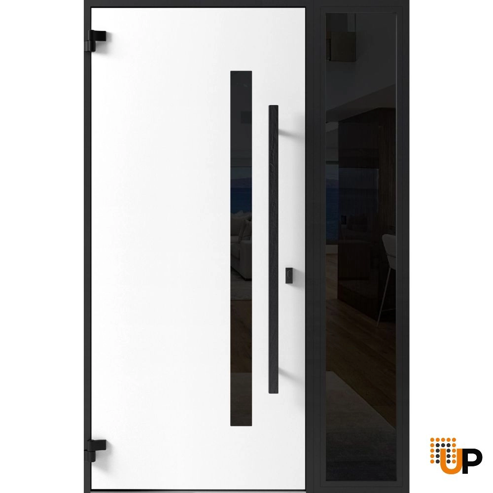 Single swing metal-aluminum modern exterior door with tinted clear-mirrored glass | Dekton 0163 Ardesia Nero | 50 x 80 photo#2