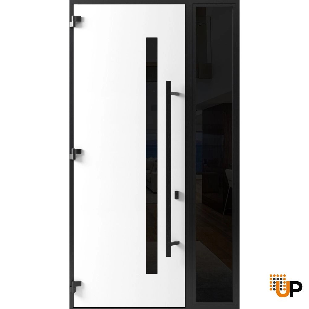 Single swing metal-aluminum modern exterior door with tinted clear-mirrored glass | Dekton 0163 Ardesia Nero | 48 x 96 photo#2