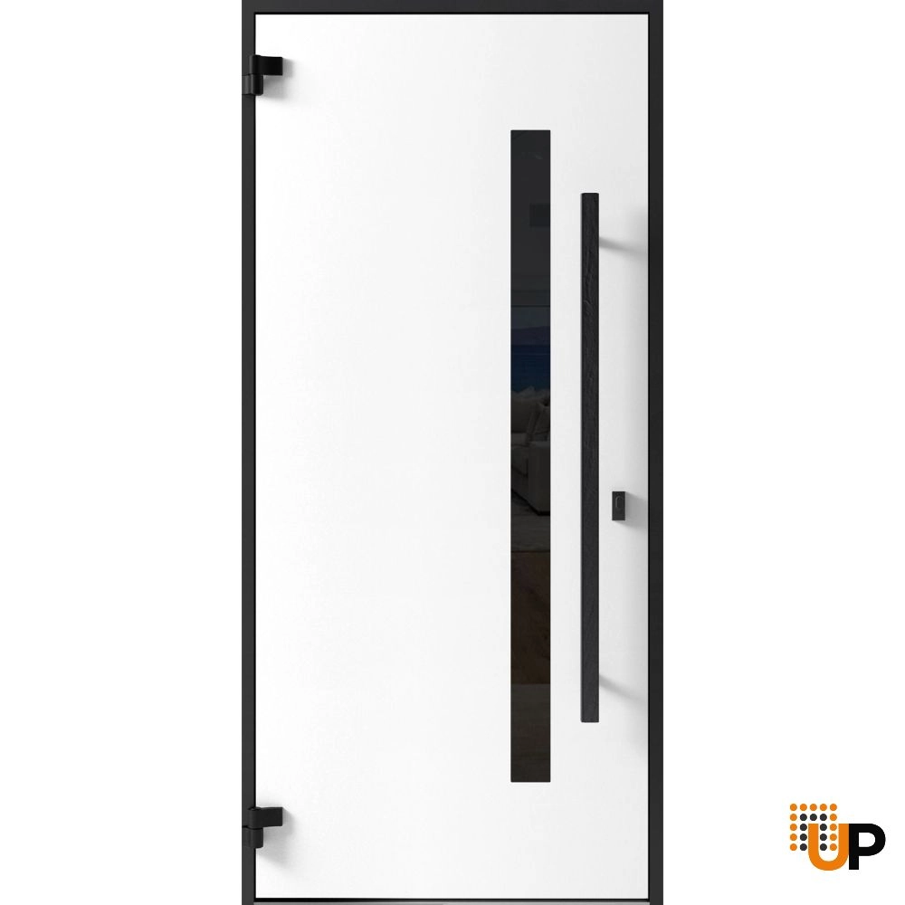 Single swing metal-aluminum modern exterior door with tinted clear-mirrored glass | Dekton 0163 Ardesia Nero | 36 x 80 photo#2