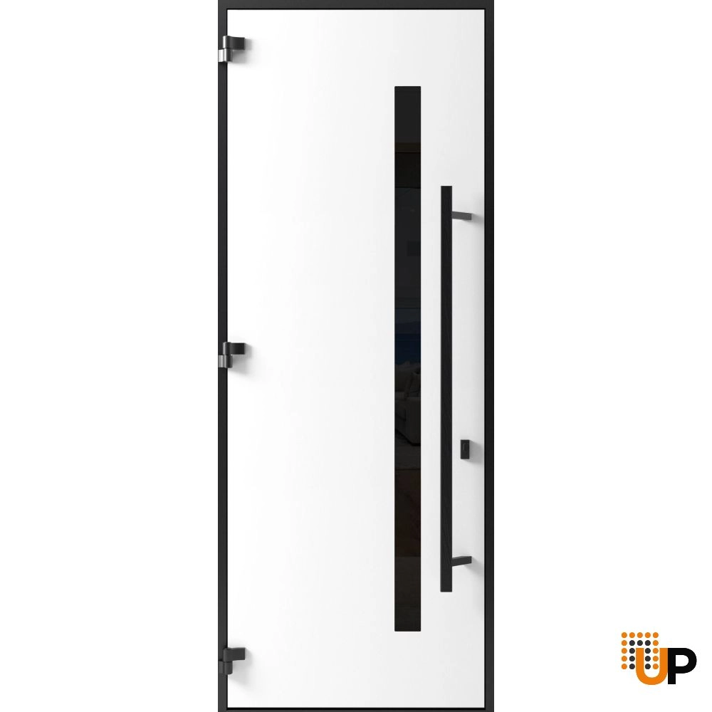 Single swing metal-aluminum modern exterior door with tinted clear-mirrored glass | Dekton 0163 Ardesia Nero | 36 x 96 photo#2