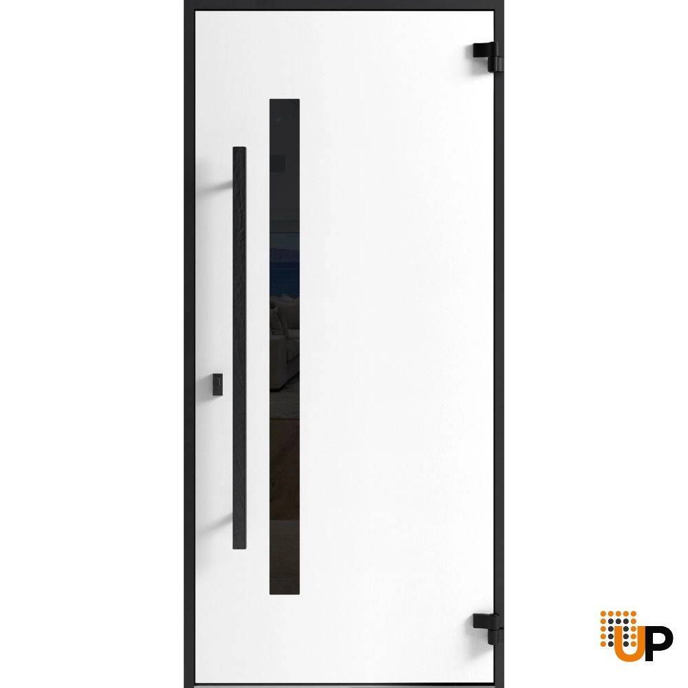 Single swing metal-aluminum modern exterior door with tinted clear-mirrored glass | Dekton 0163 Ardesia Nero | 36 x 80 photo#2