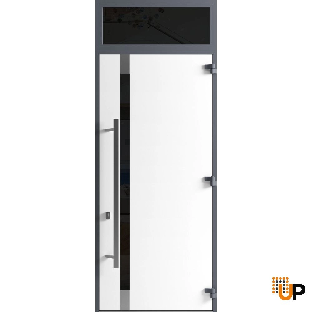 Single swing metal-aluminum modern exterior door with triplex | Ronex 1011 Gray | 36 x 112 (W36 x H96+16) photo#2