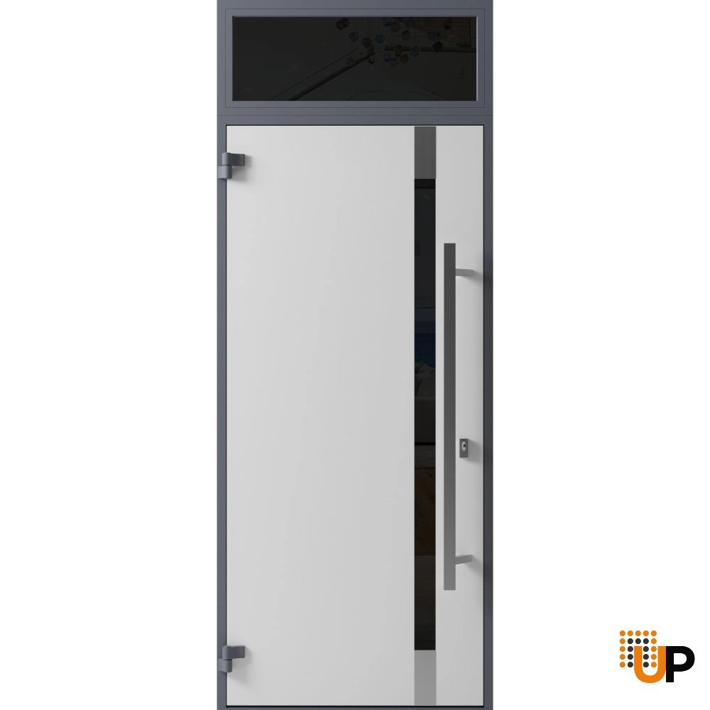 Single swing metal-aluminum modern exterior door with triplex glass | Ronex 1011 Gray | 36 x 96 photo#2