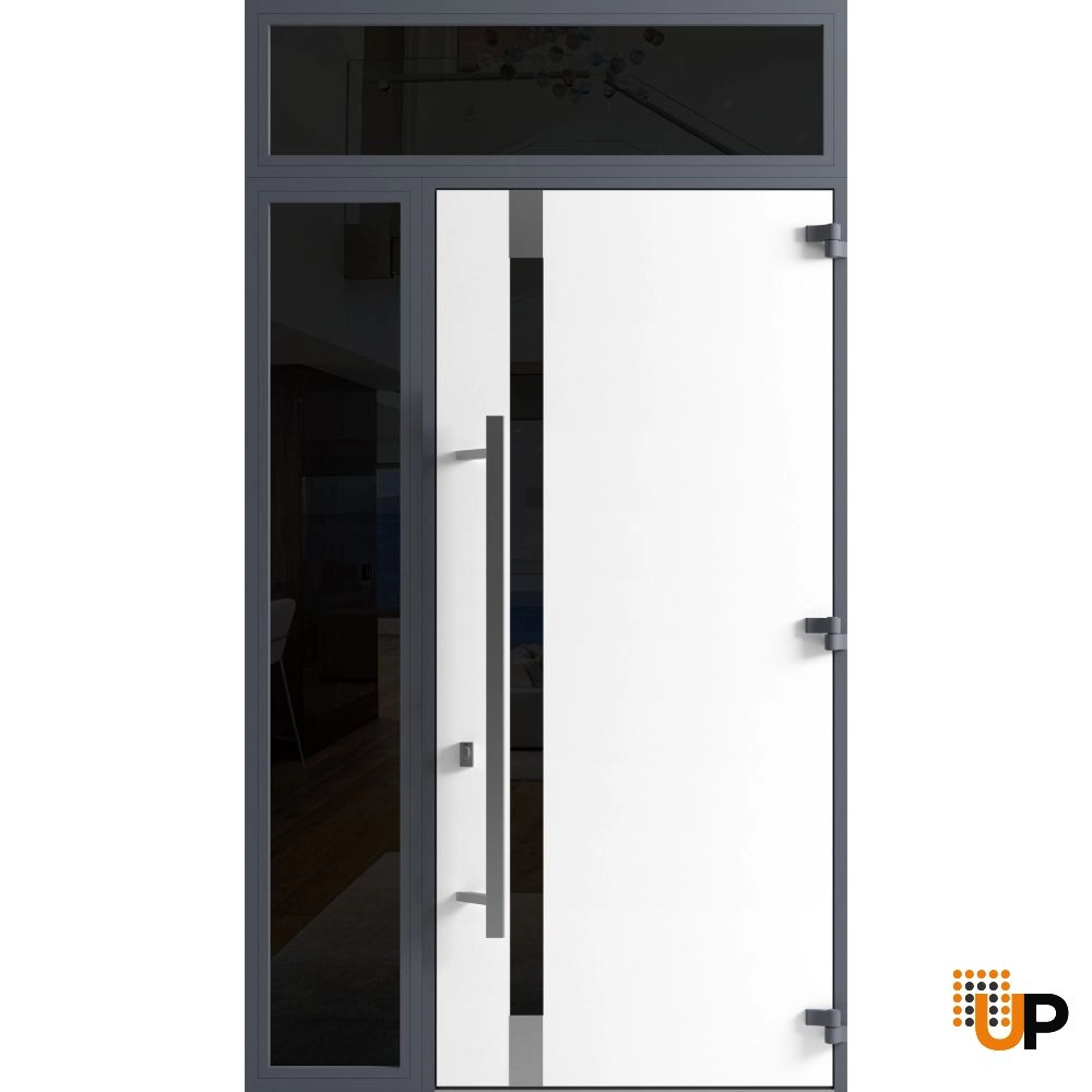 Single swing metal-aluminum modern exterior door with triplex | Ronex 1011 Gray | 48 x 112 (W36+12 x H96+16) photo#2