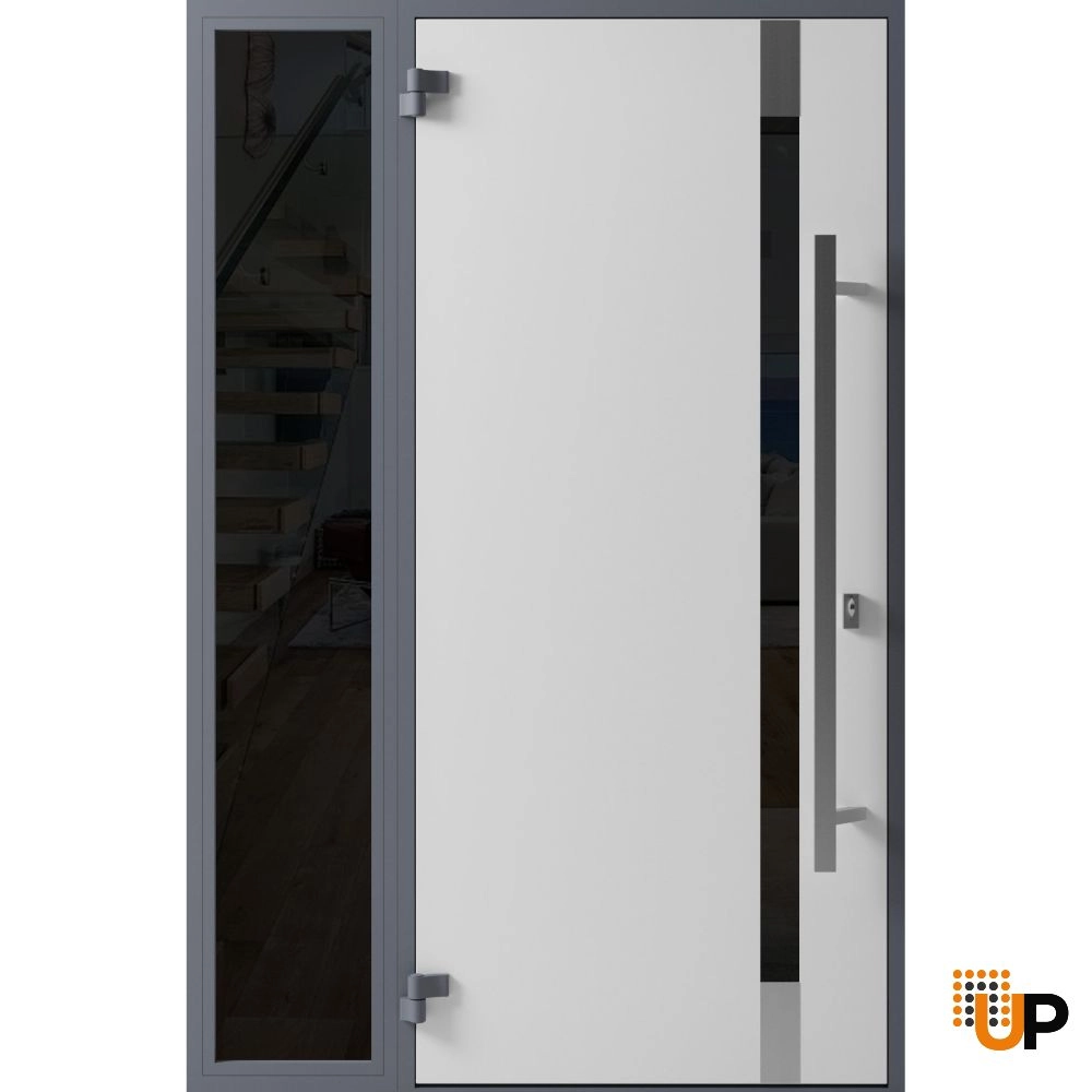 Single swing metal-aluminum modern exterior door with triplex glass | Ronex 1011 Gray | 48 x 80 photo#2