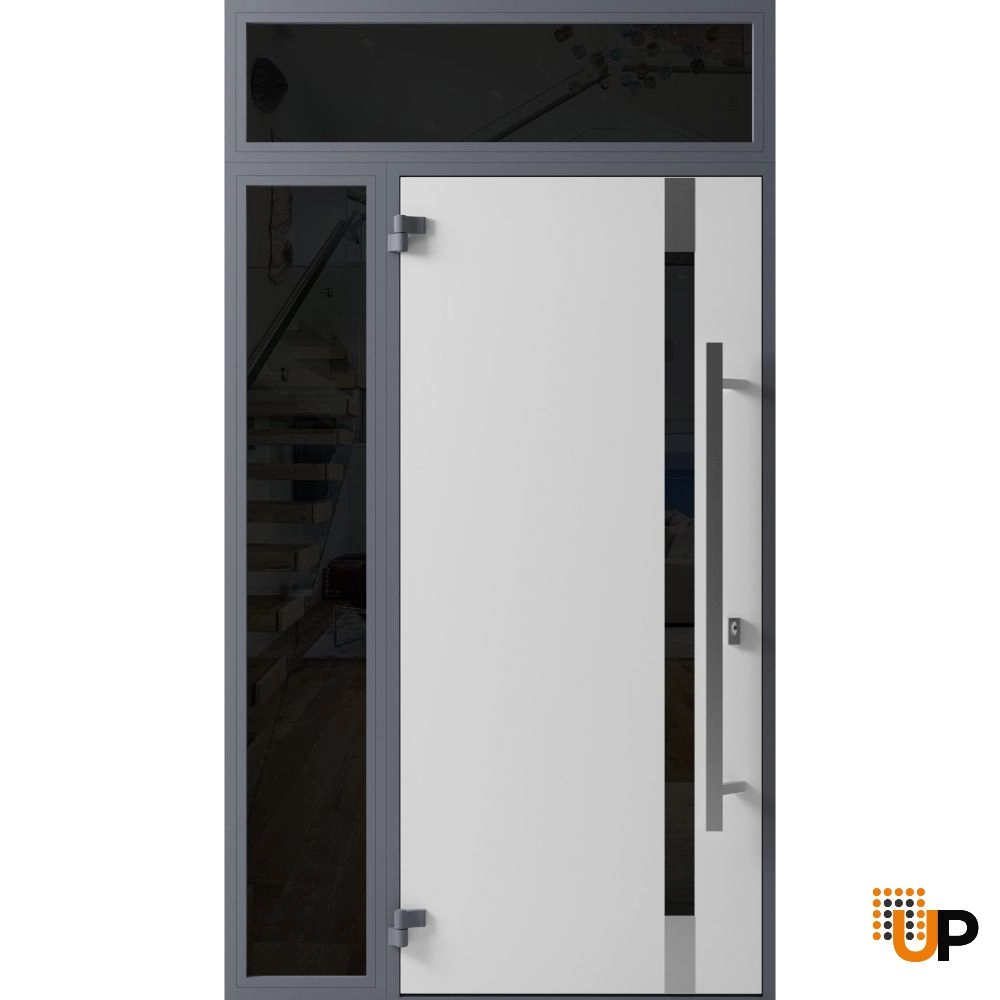 Single swing metal-aluminum modern exterior door with triplex glass | Ronex 1011 Gray | 48 x 96 photo#2