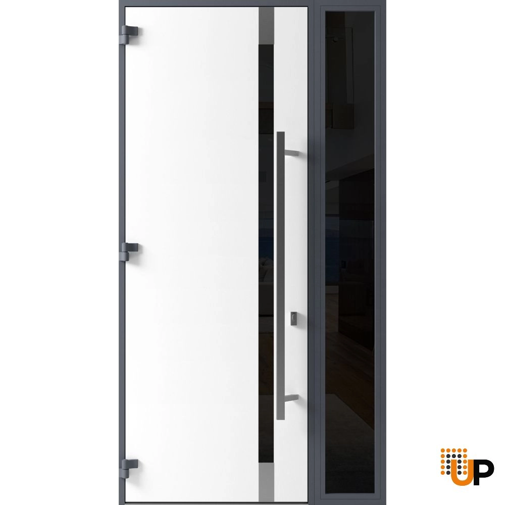 Single swing metal-aluminum modern exterior door with triplex glass | Ronex 1011 Gray | 48 x 96 photo#2