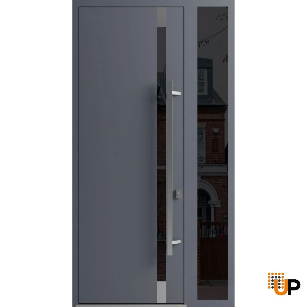 Single swing metal-aluminum modern exterior door with triplex | Ronex 1011 Gray | 48 x 96 photo#1