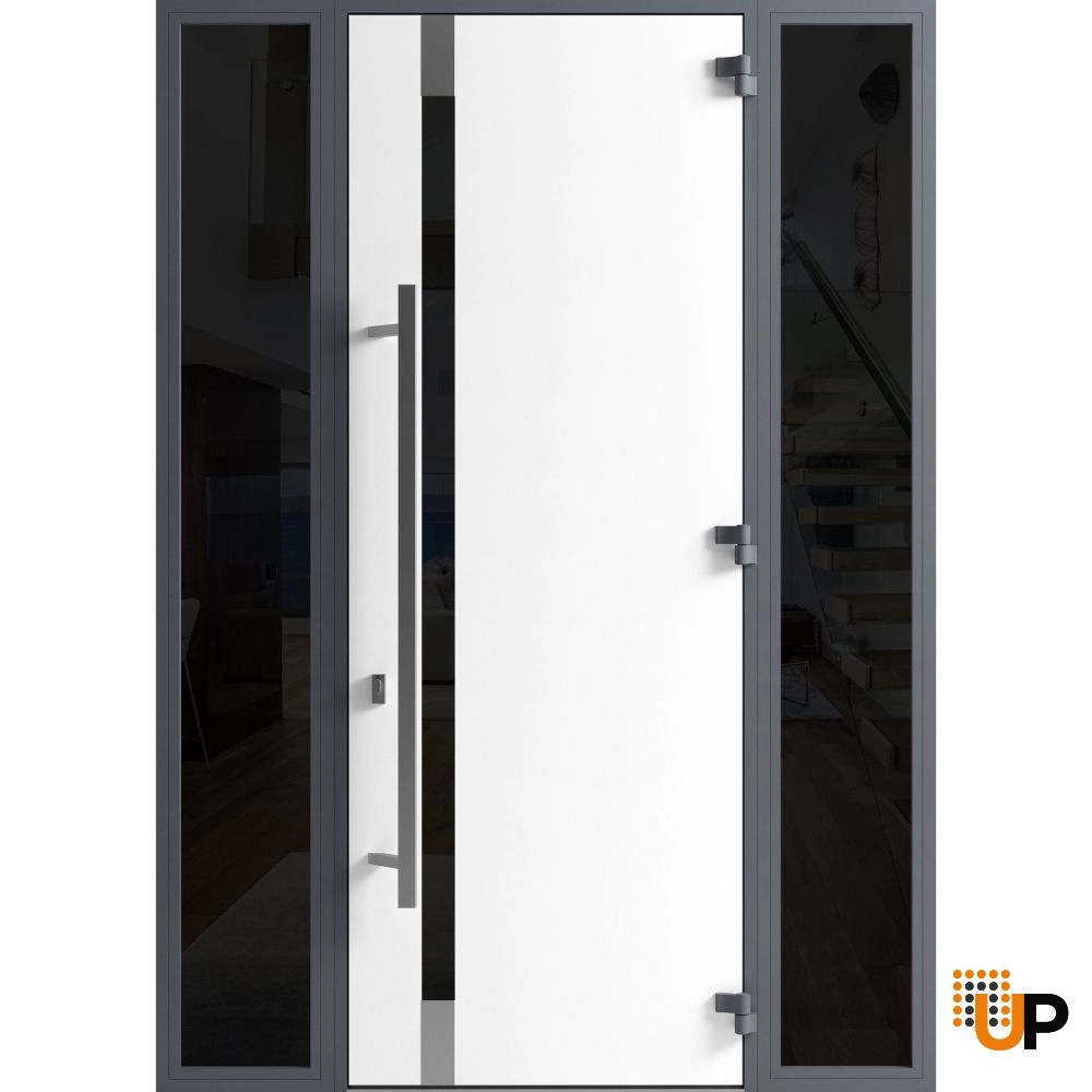 Single swing metal-aluminum modern exterior door with triplex | Ronex 1011 Gray | 60 x 96 photo#2