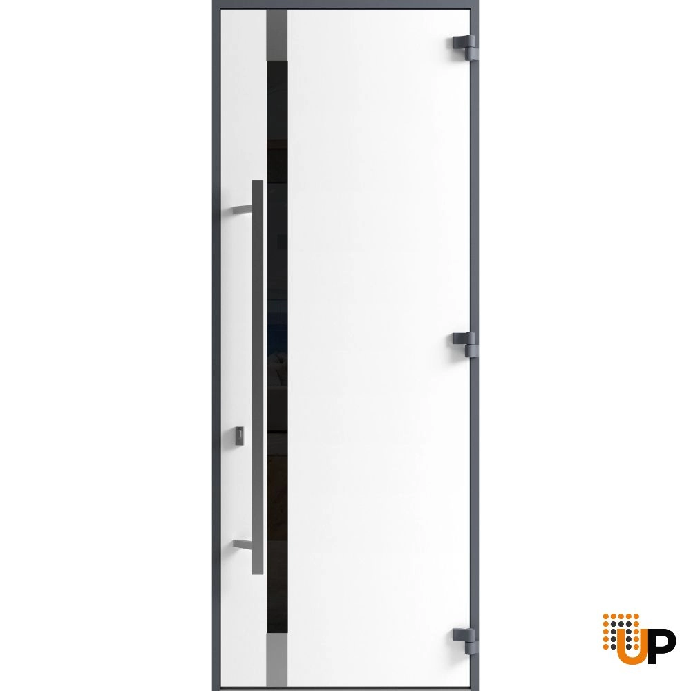 Single swing metal-aluminum modern exterior door with triplex | Ronex 1011 Gray | 36 x 96 photo#2