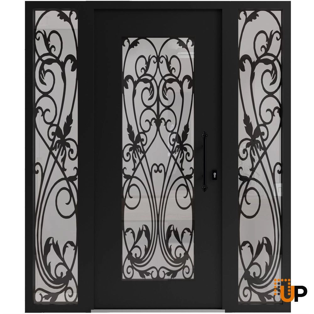 Single swing wrought iron modern exterior door with triplex glass | Iron 1601 Black | 64 x 80 (14+36+14 x 80) photo#1