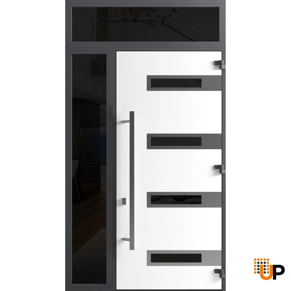 Single swing metal-aluminum modern exterior door with triplex | Ronex 0131 Black | 48 x 112 (W36+12 x H96+16) photo#2