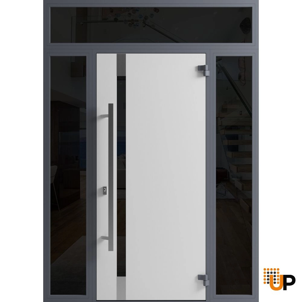 Single swing metal-aluminum modern exterior door with triplex | Ronex 1011 Gray | 60 x 96 photo#2