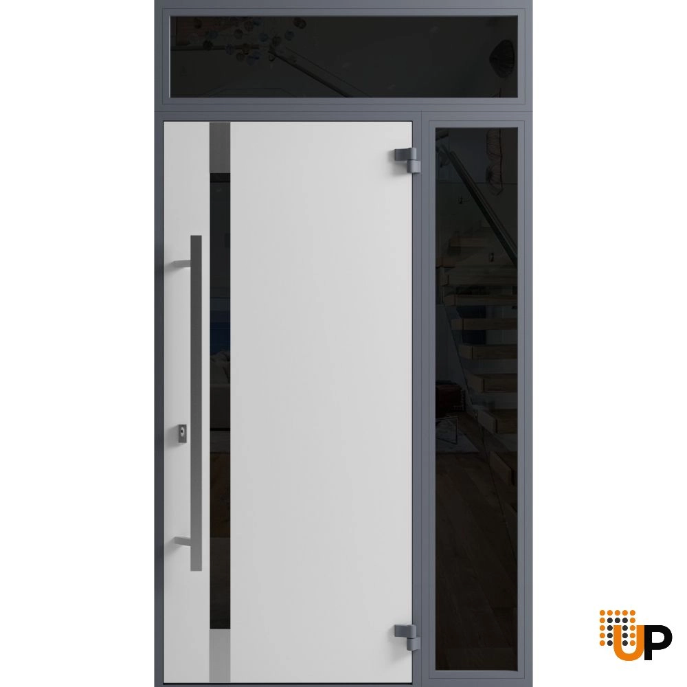 Single swing metal-aluminum modern exterior door with triplex | Ronex 1011 Gray | 48 x 96 photo#2