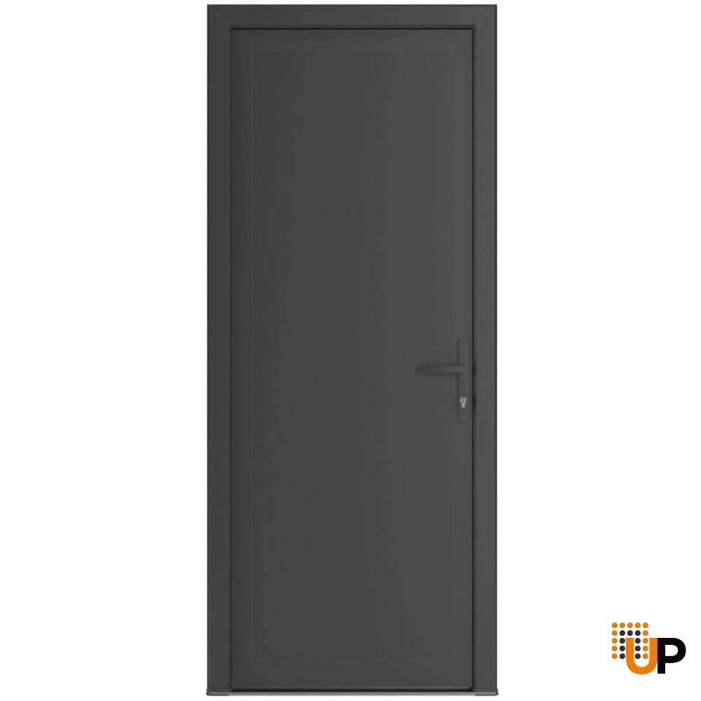 Single swing vinyl modern exterior door | Manux 8111 Antracite | 36 x 80 photo#1