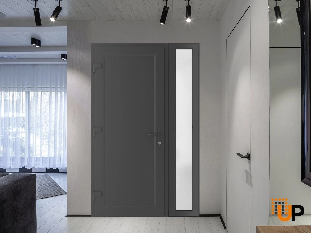 Single swing vinyl modern exterior door | Manux 8111 Antracite | 52 x 80 photo#2