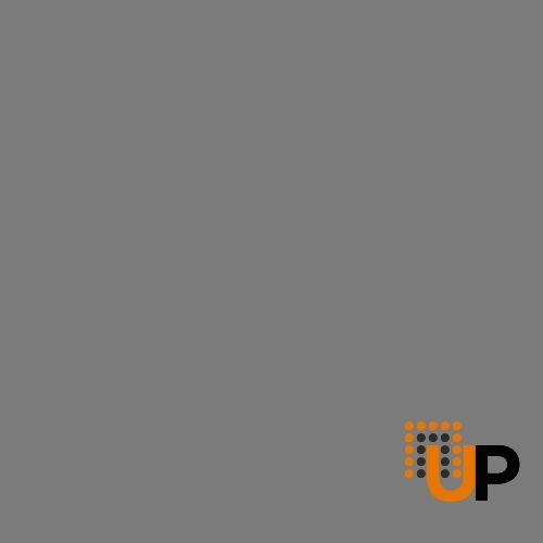 Single solid core interior swing door | Majestic 9003 Matte Grey photo#6