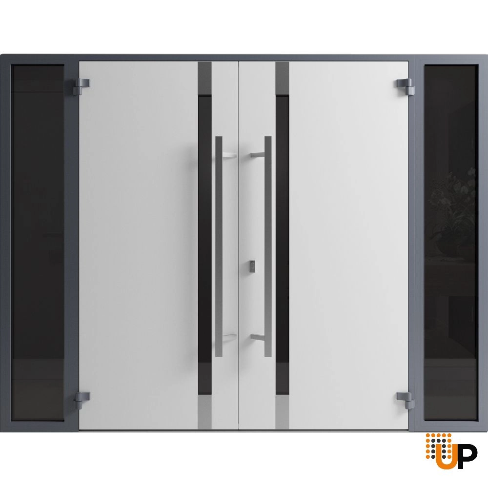 Ronex 1011 exterior aluminum double door 104x96 (16+72+16x96) grey steel Photo #2