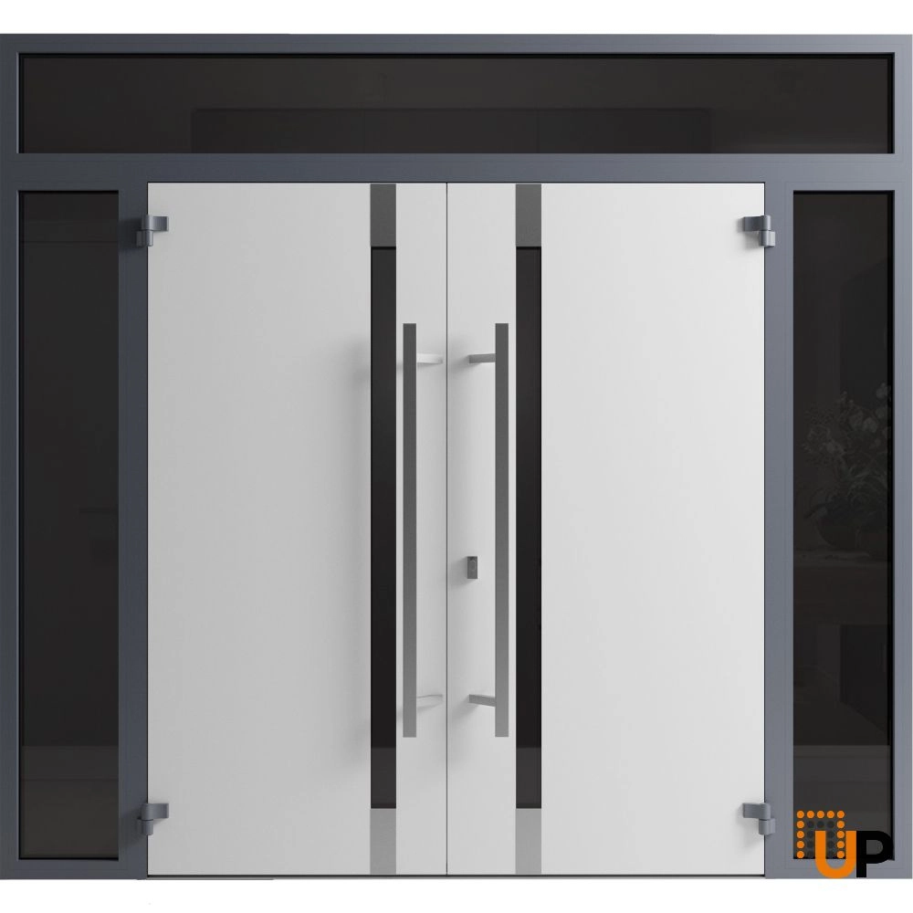 Ronex 1011 exterior aluminum double door 104x108 (16+72+16x96+12) grey steel Photo #2