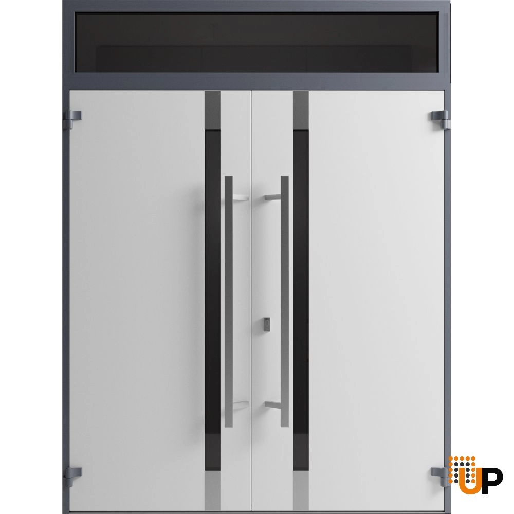Ronex 1011 exterior aluminum double door 72x108 (72x96+12) grey steel Photo #2