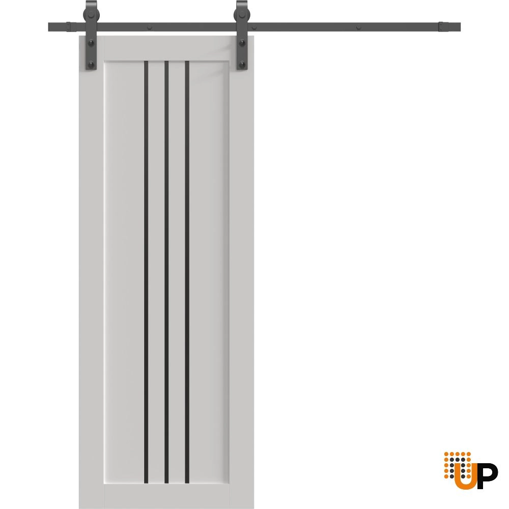 Single solid core sliding interior barn door | Basic 4906 White | 18 x 80 photo#1