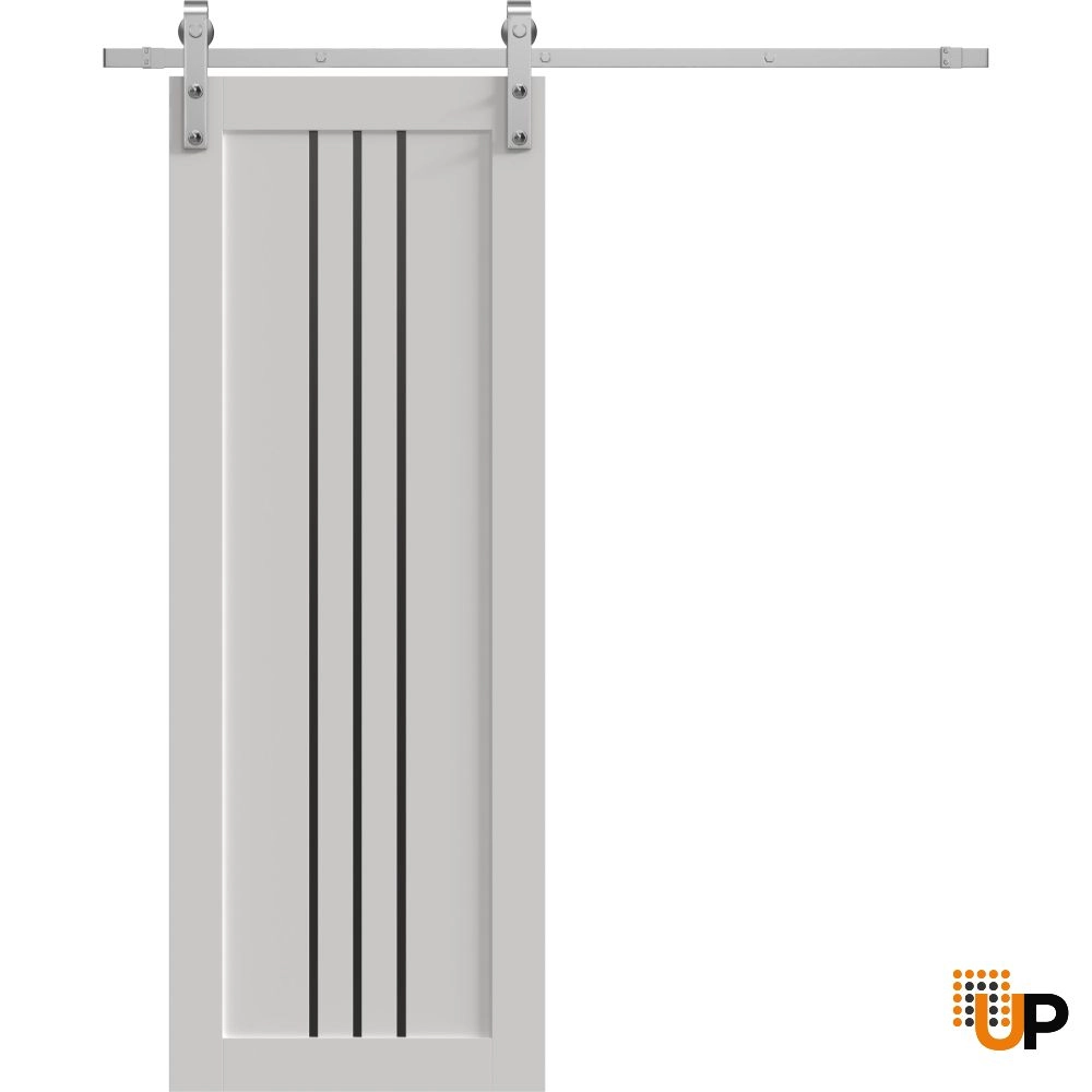 Single solid core sliding interior barn door | Basic 4906 White | 18 x 80 photo#1