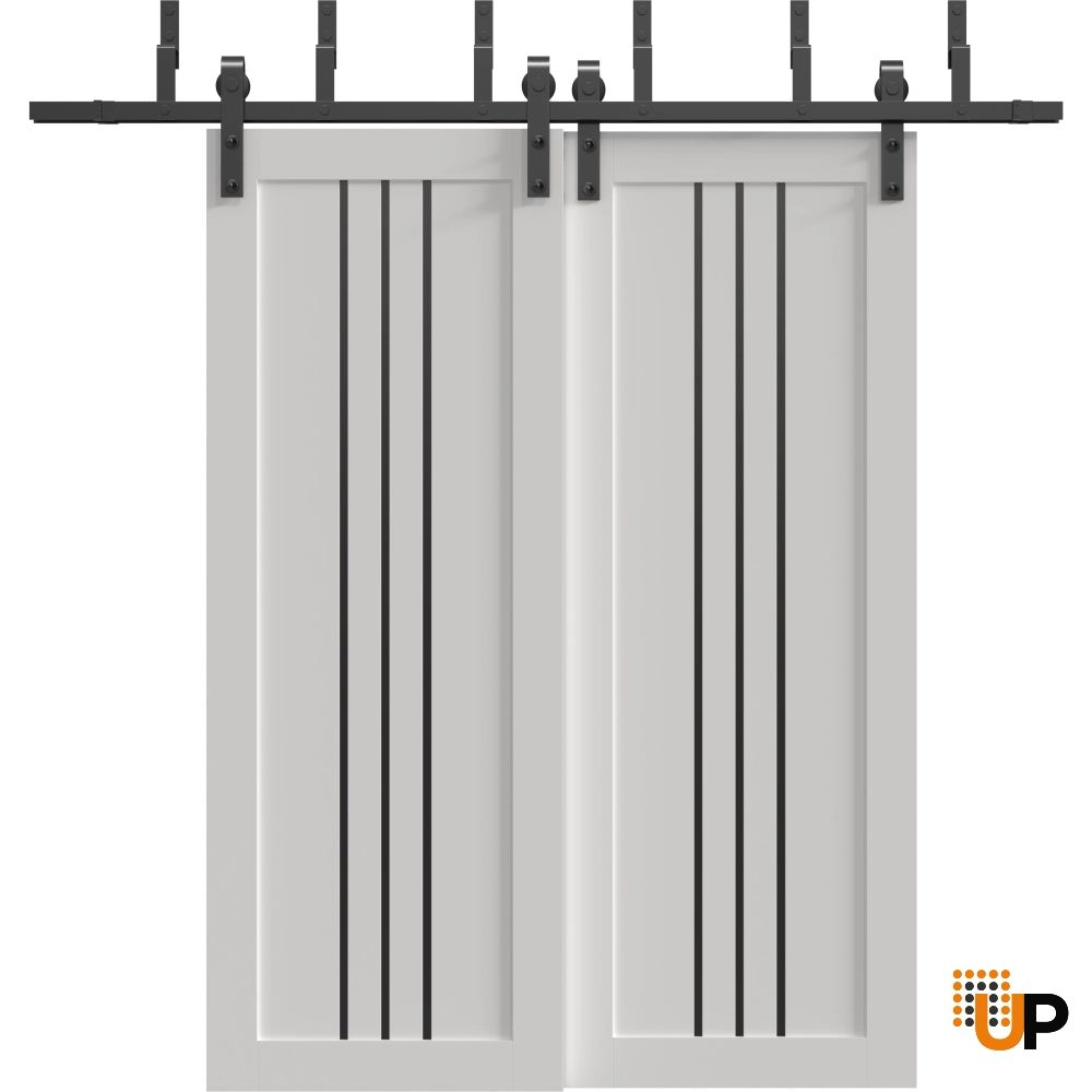 Double solid core sliding interior barn bypass door | Basic 4906 White | 36 x 80 photo#1