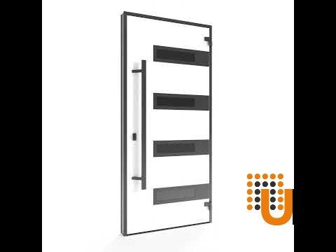 Single swing metal-aluminum modern exterior door with triplex | Ronex 0131 Black | 48 x 96 photo#7