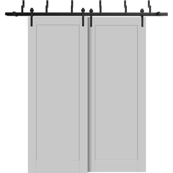 Barn Bypass Doors 6.6ft Hardware | Quadro 4111 Matte Grey | Sturdy Heavy Duty Rails Kit Steel Set | Double Sliding Lite Panel Door