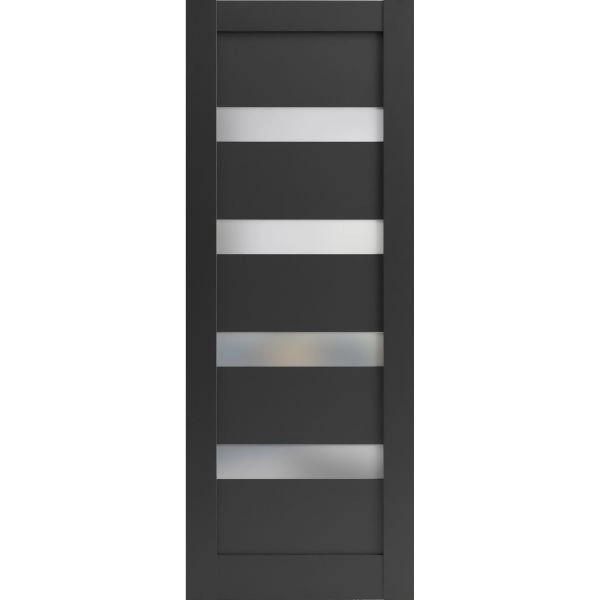 Lite Slab Barn Door Panel | Quadro 4113 Matte Black with Frosted Glass | Sturdy Finished Wooden Modern Doors | Pocket Closet Sliding