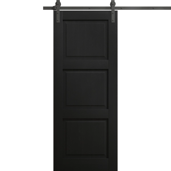 Modern Barn Door 18 x 80 inches | Ego 5010 Painted Black Oak | 6.6FT Rail Track Heavy Hardware Set | Solid Panel Interior Doors
