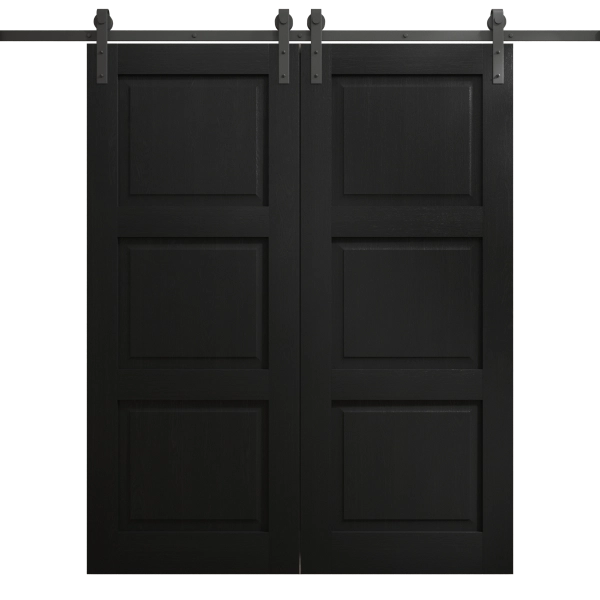 Modern Double Barn Door 36 x 80 inches | Ego 5010 Painted Black Oak | 13FT Rail Track Set | Solid Panel Interior Doors