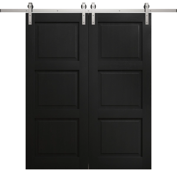 Modern Double Barn Door 36 x 80 inches | Ego 5010 Painted Black Oak | 13FT Silver Rail Track Set | Solid Panel Interior Doors