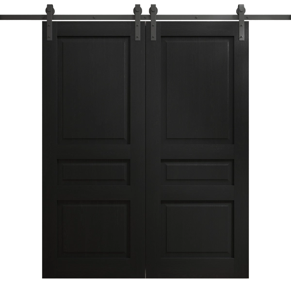 Modern Double Barn Door 36 x 80 inches | Ego 5012 Painted Black Oak | 13FT Rail Track Set | Solid Panel Interior Doors
