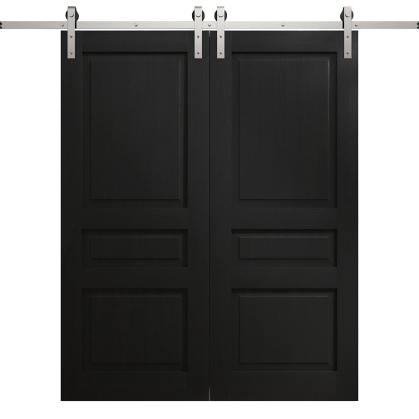 Modern Double Barn Door 36 x 80 inches | Ego 5012 Painted Black Oak | 13FT Silver Rail Track Set | Solid Panel Interior Doors