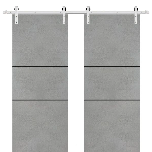 Sliding Double Barn Doors with Hardware | Planum 0014 Concrete and Aluminum Strips | Silver 13FT Rail Hangers Sturdy Set | Modern Solid Panel Interior Hall Bedroom Bathroom Door