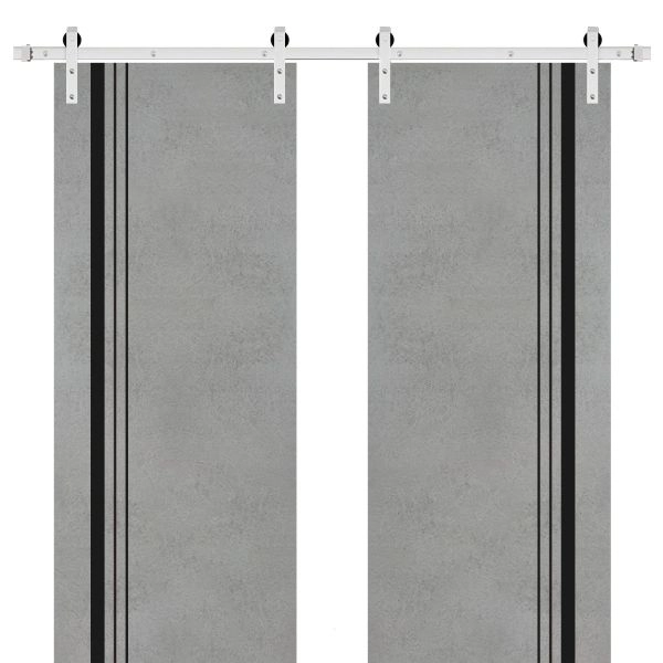 Sliding Double Barn Doors with Hardware | Planum 0011 Concrete and Aluminum Strips | Silver 13FT Rail Hangers Sturdy Set | Modern Solid Panel Interior Hall Bedroom Bathroom Door