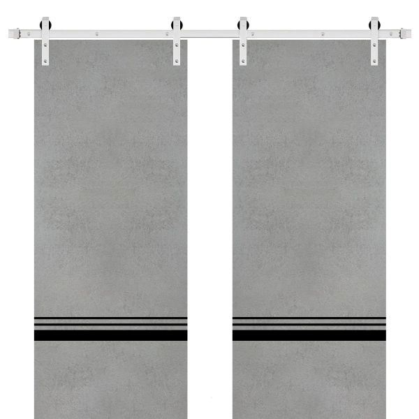 Sliding Double Barn Doors with Hardware | Planum 0012 Concrete and Aluminum Strips | Silver 13FT Rail Hangers Sturdy Set | Modern Solid Panel Interior Hall Bedroom Bathroom Door