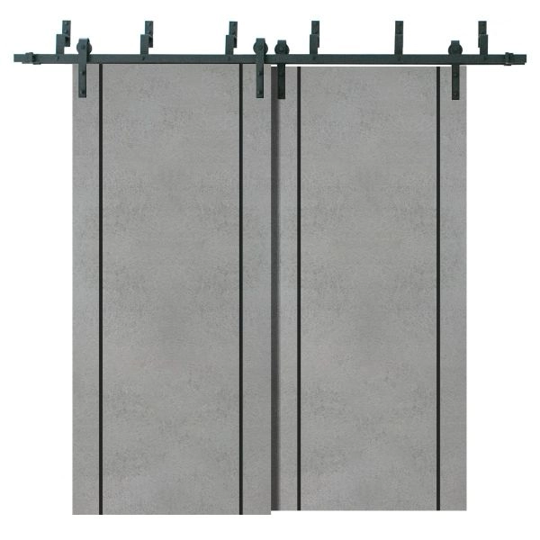 Barn Bypass Doors with 6.6ft Hardware | Planum 0017 Concrete and Aluminum Strips | Sturdy Heavy Duty Rails Kit Steel Set | Double Sliding Door-36" x 80" (2* 18x80)