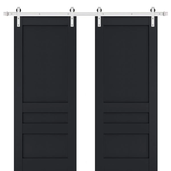 Sturdy Double Barn Door | Veregio 7411 Antracite | Silver 13FT Rail Hangers Heavy Set | Solid Panel Interior Doors