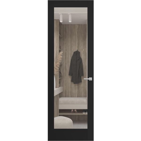 Hidden Door | Lucia 2166 Matte Black Concealed Metal Frame 18" x 80" Left-hand Inswing