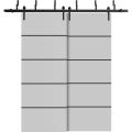 Barn Bypass Doors with 6.6ft Hardware | Planum 0015 Matte Grey and Aluminum Strips | Sturdy Heavy Duty Rails Kit Steel Set | Double Sliding Door-56" x 80" (2* 28x80) Matte Grey