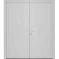 Front Exterior Prehung Metal-Plastic Double Doors / MANUX 8111 Matte Black / Office Commercial and Residential Doors Entrance Patio Garage 72" x 80" Right-Hand White