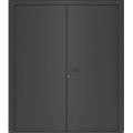 Front Exterior Prehung Metal-Plastic Double Doors / MANUX 8111 Matte Black / Office Commercial and Residential Doors Entrance Patio Garage 72" x 80" Right-Hand Antracite