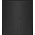 Front Exterior Prehung Metal-Plastic Double Doors / MANUX 8111 Matte Black / Office Commercial and Residential Doors Entrance Patio Garage 72" x 80" Right-Hand Black Matte