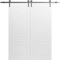 Modern Double Barn Door 36" x 80" inches / Mela 0733 Painted White / 13FT Silver Rail Track Set / Solid Panel Interior Doors Painted White