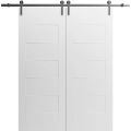 Modern Double Barn Door 36" x 80" inches / Mela 0755 Painted White / 13FT Silver Rail Track Set / Solid Panel Interior Doors Painted White